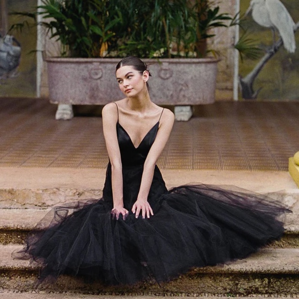 NWT Hutch Anthropologie Lucia V-Neck Tulle Maxi Black Dress Size 6 - Picture 4 of 15